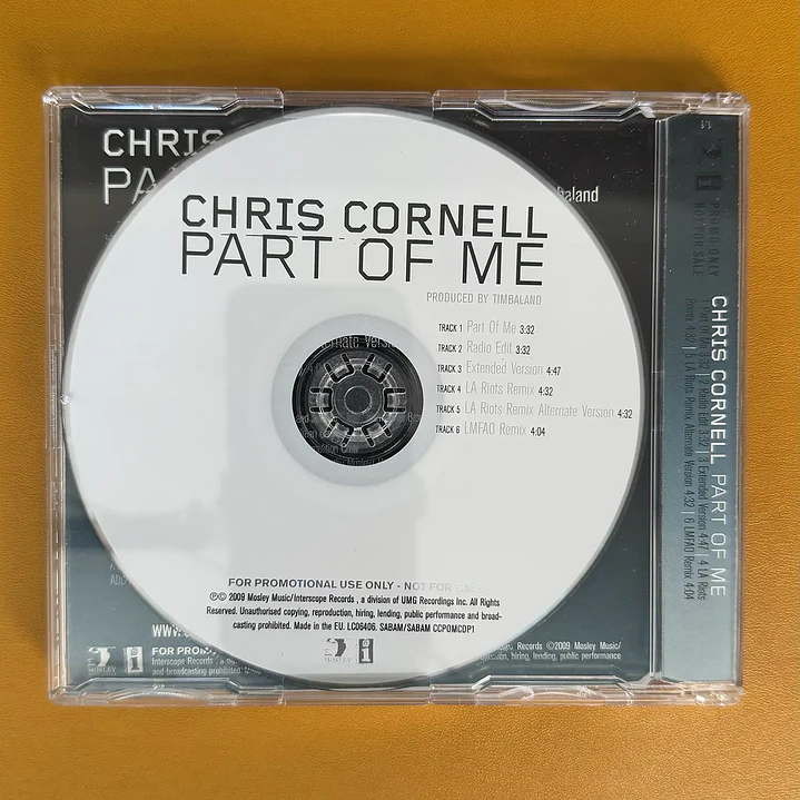 Chris Cornell - Part Of Me 2