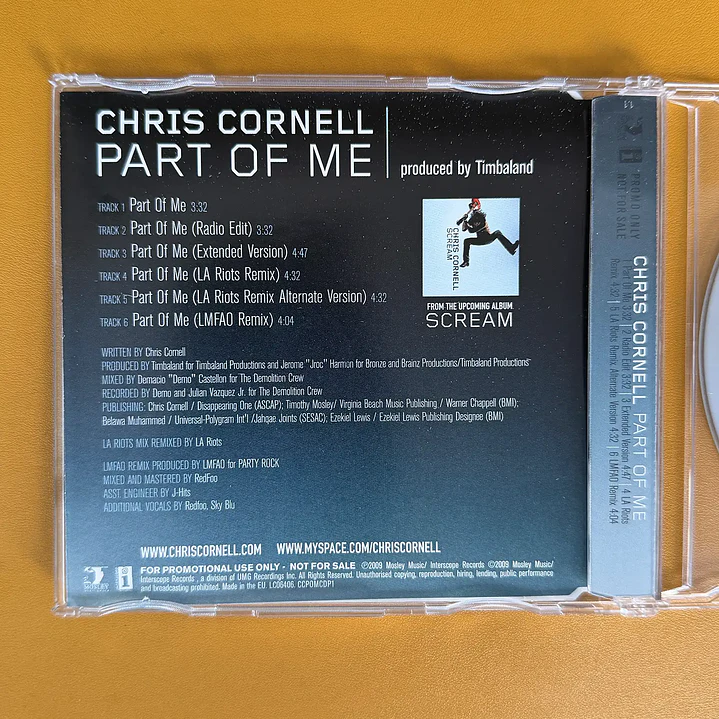 Chris Cornell - Part Of Me 3