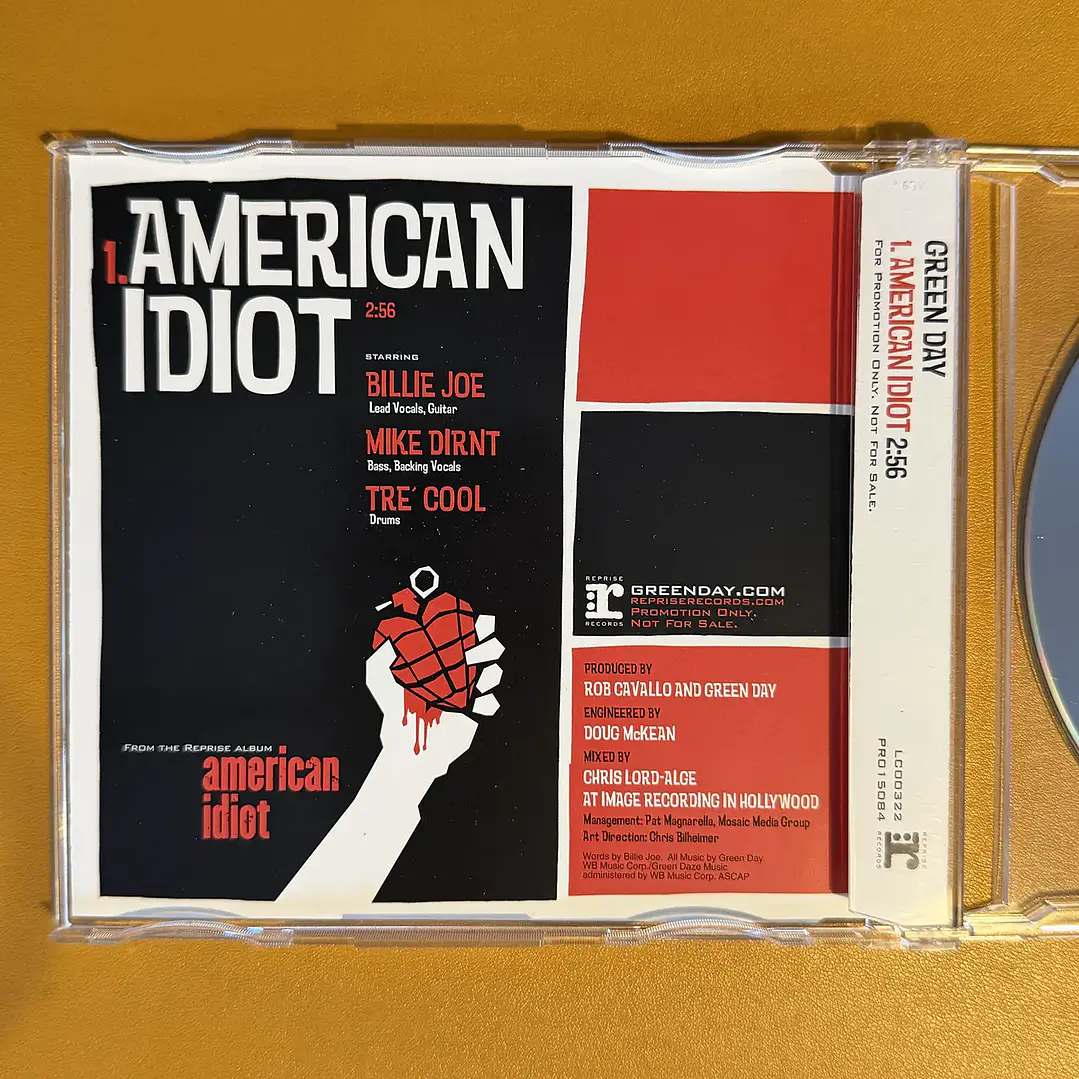 Green Day - American Idiot 3