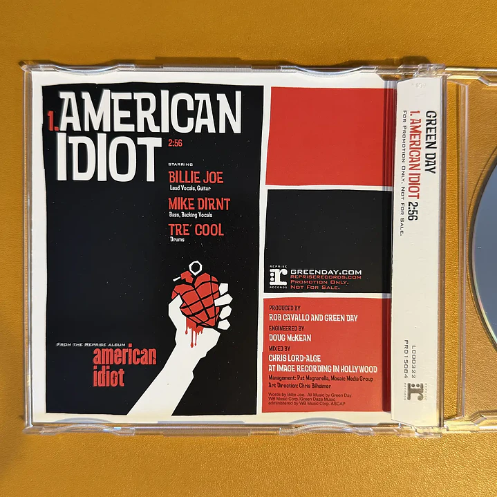 Green Day - American Idiot 3