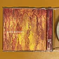 Nine Inch Nails - The Downward Spiral - Miniatura 3