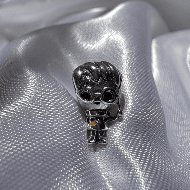 Charms Harry Potter 1