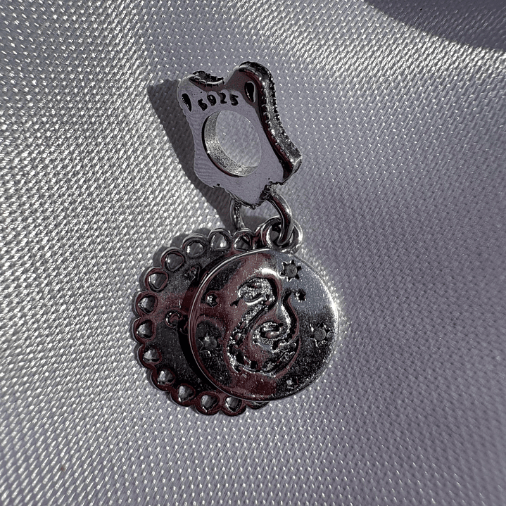 Charms Slytherin 1