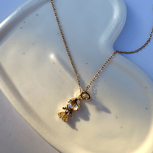 Cadena Bella y la Bestia