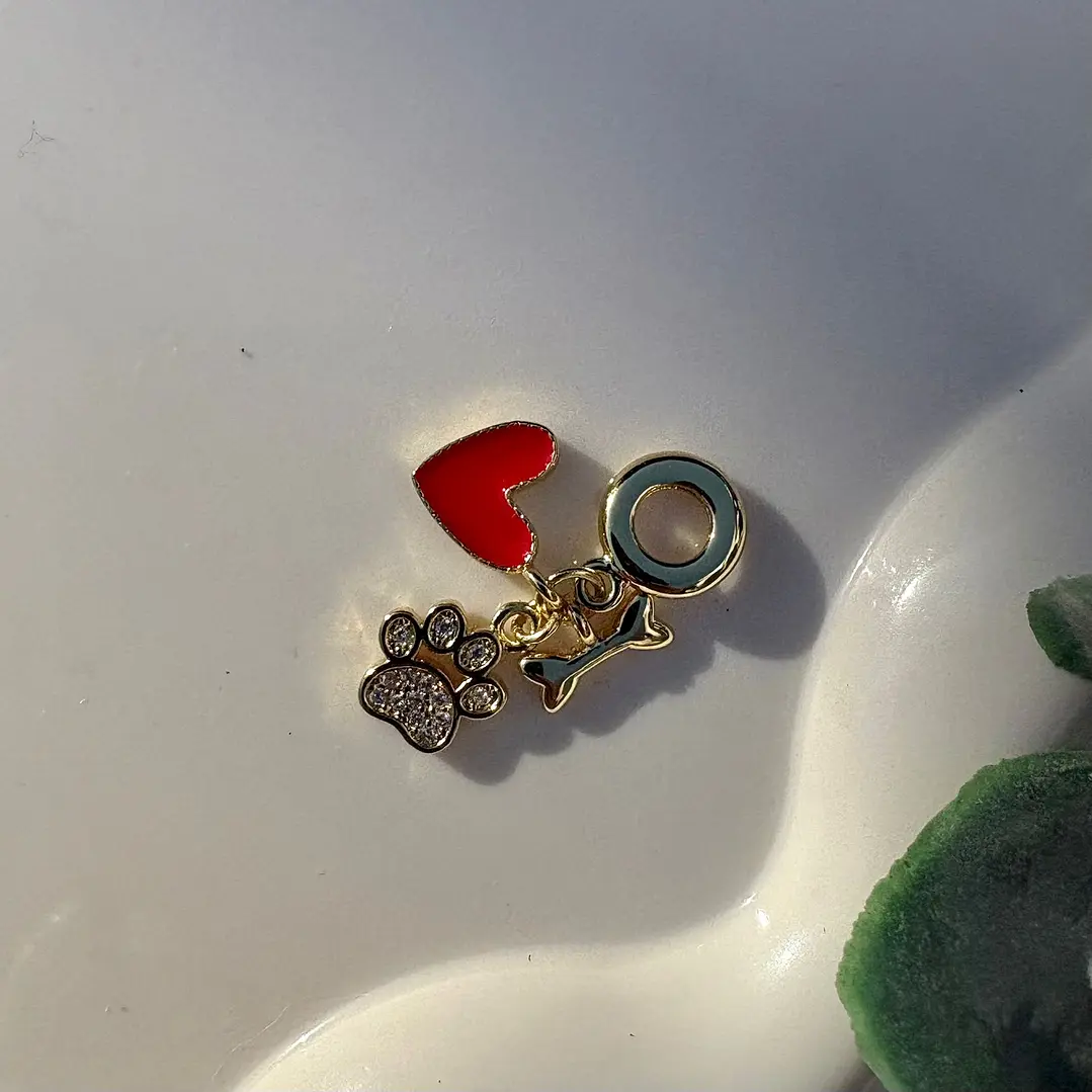 Charms Amor Incondicional 1