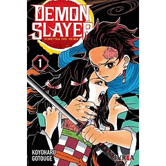 DEMON SLAYER - KIMETSU NO YAIBA 1 