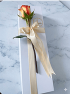 Caja  "Gala y Romance