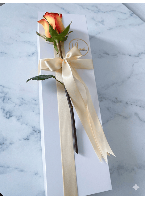 Caja  "Gala y Romance