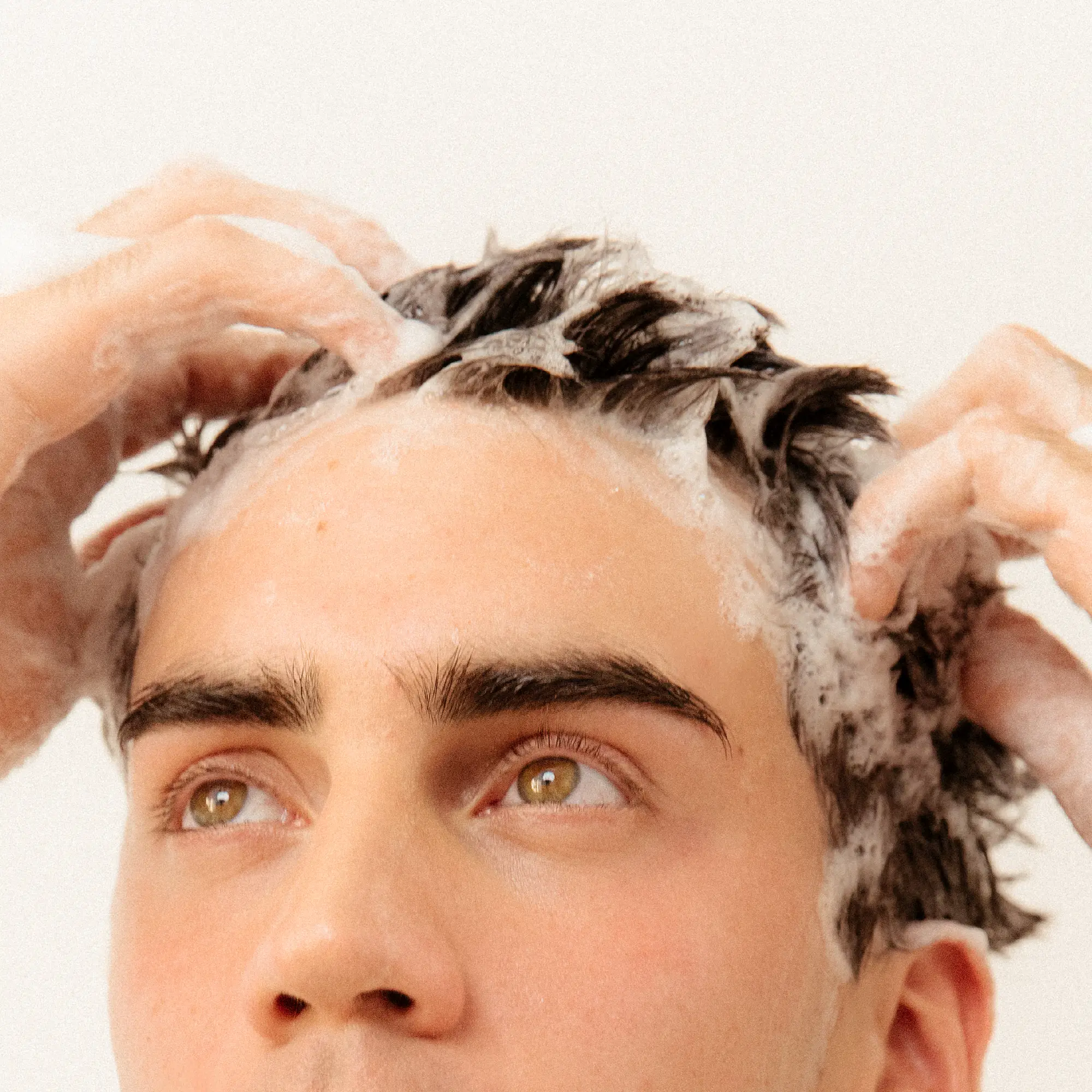 Shampoo Hidratante de Camelia 2