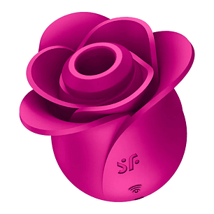 Succionador Pro 2 Modern Blossom Rosa