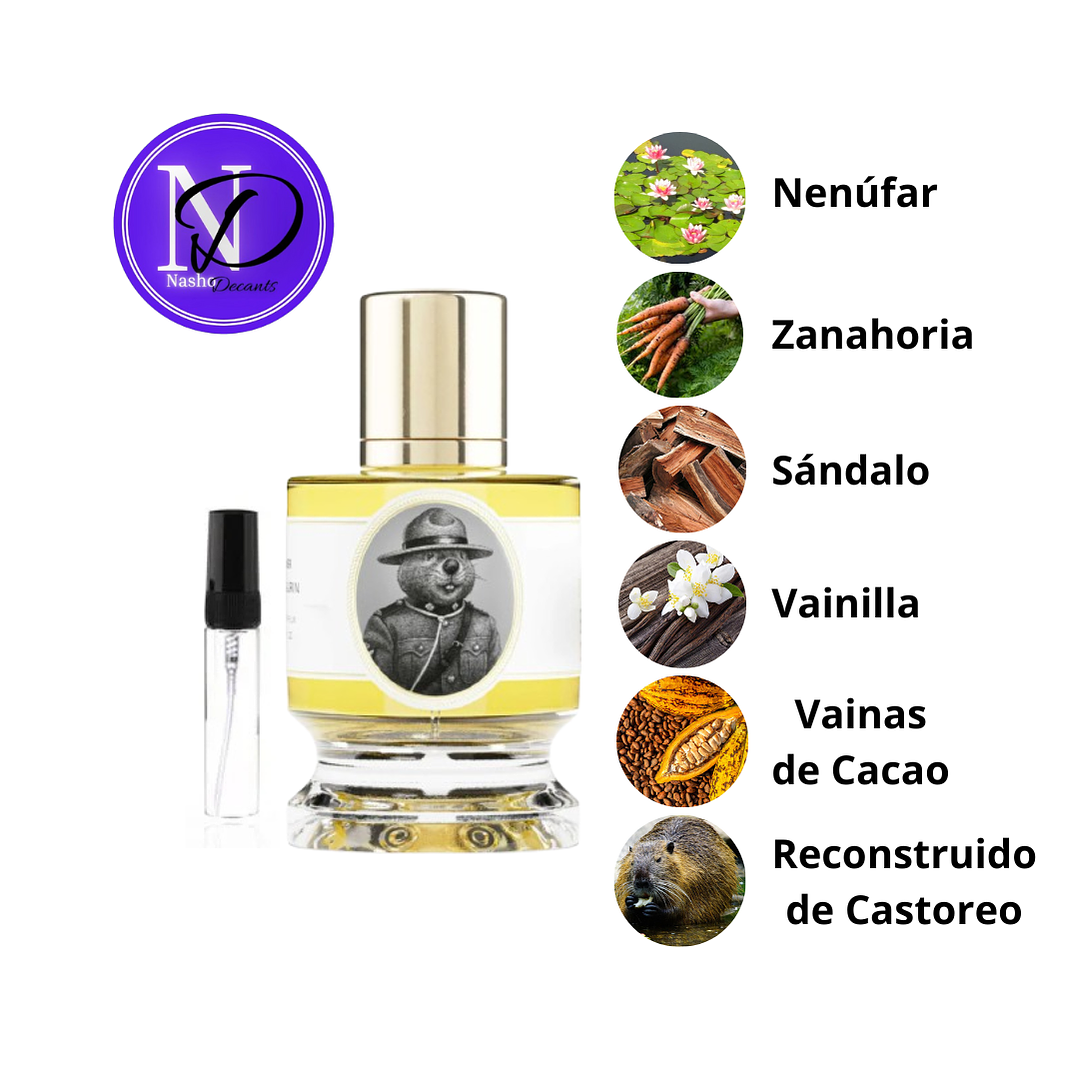 Zoologist Beaver Maple Edition - Decant 1