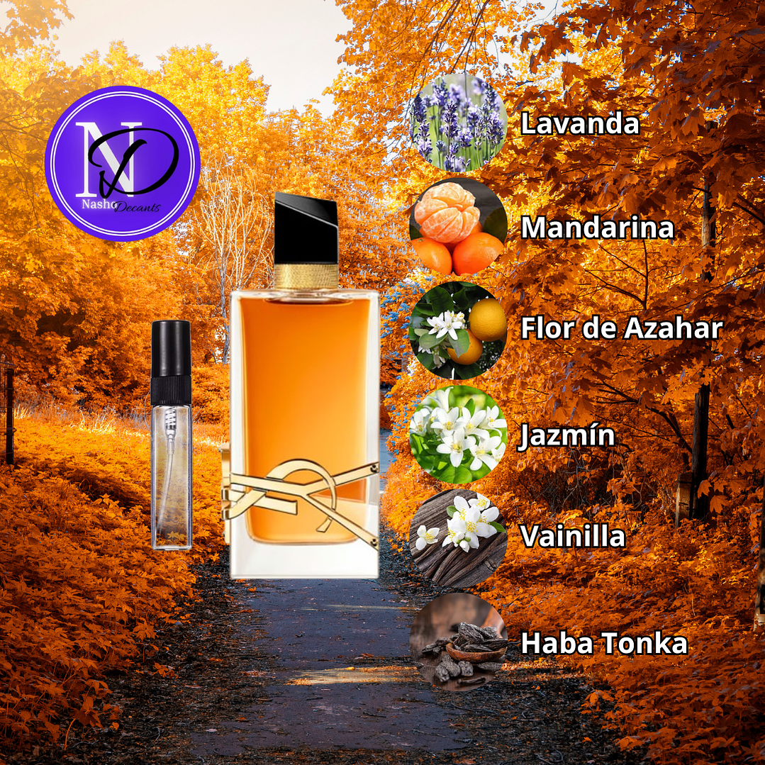 YSL Libre EDP Intense - Decant 2