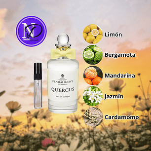 Quercus Penhaligon's - Decant