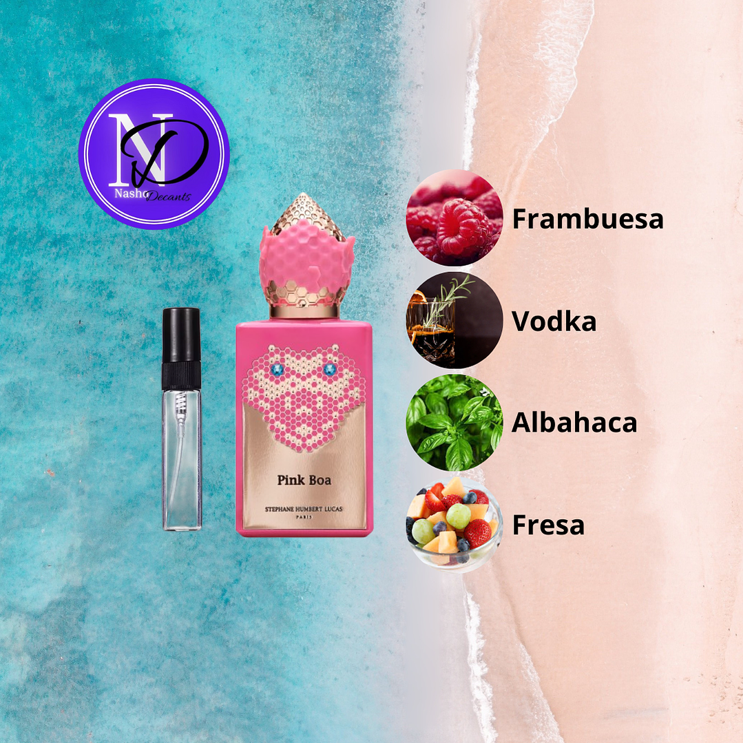 Pinka Boa SHL - Decant 2