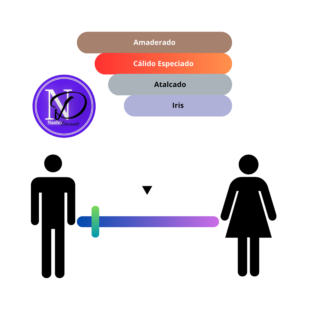 502 Iris Cartagena Bon Parfumeur - Decant 3