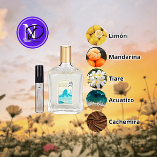 Bossa Granado - Decant