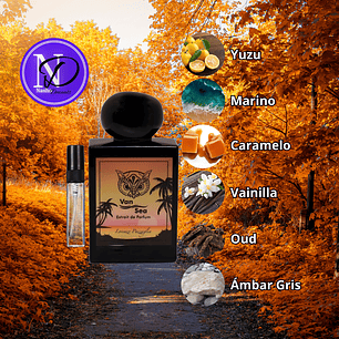 Van Sea Lorenzo Pazzaglia - Decant