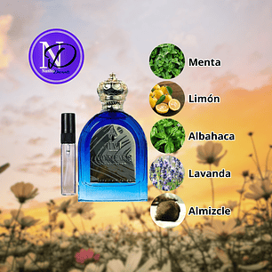 Amyr Faris Jivi Parfums (Torino 21) - Decant