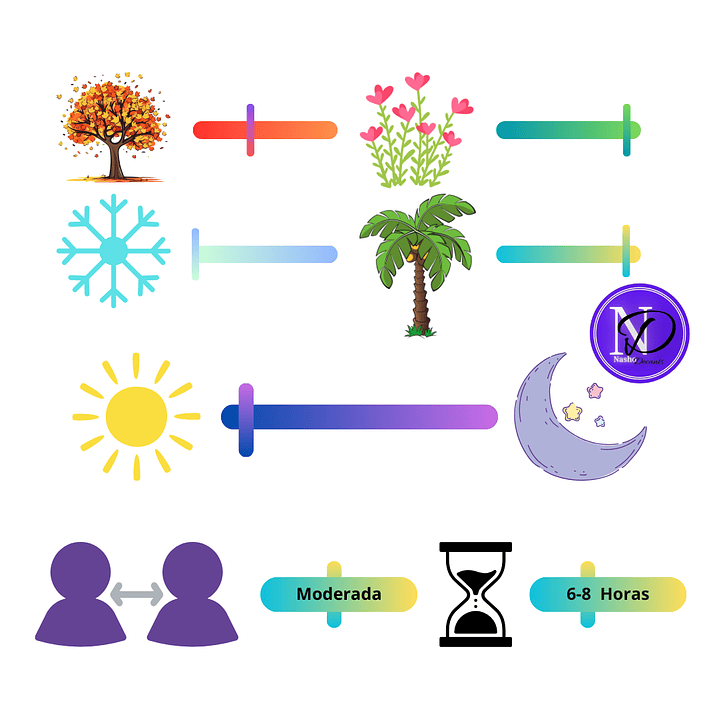 Bon Parfmeur 004 - Decants 4