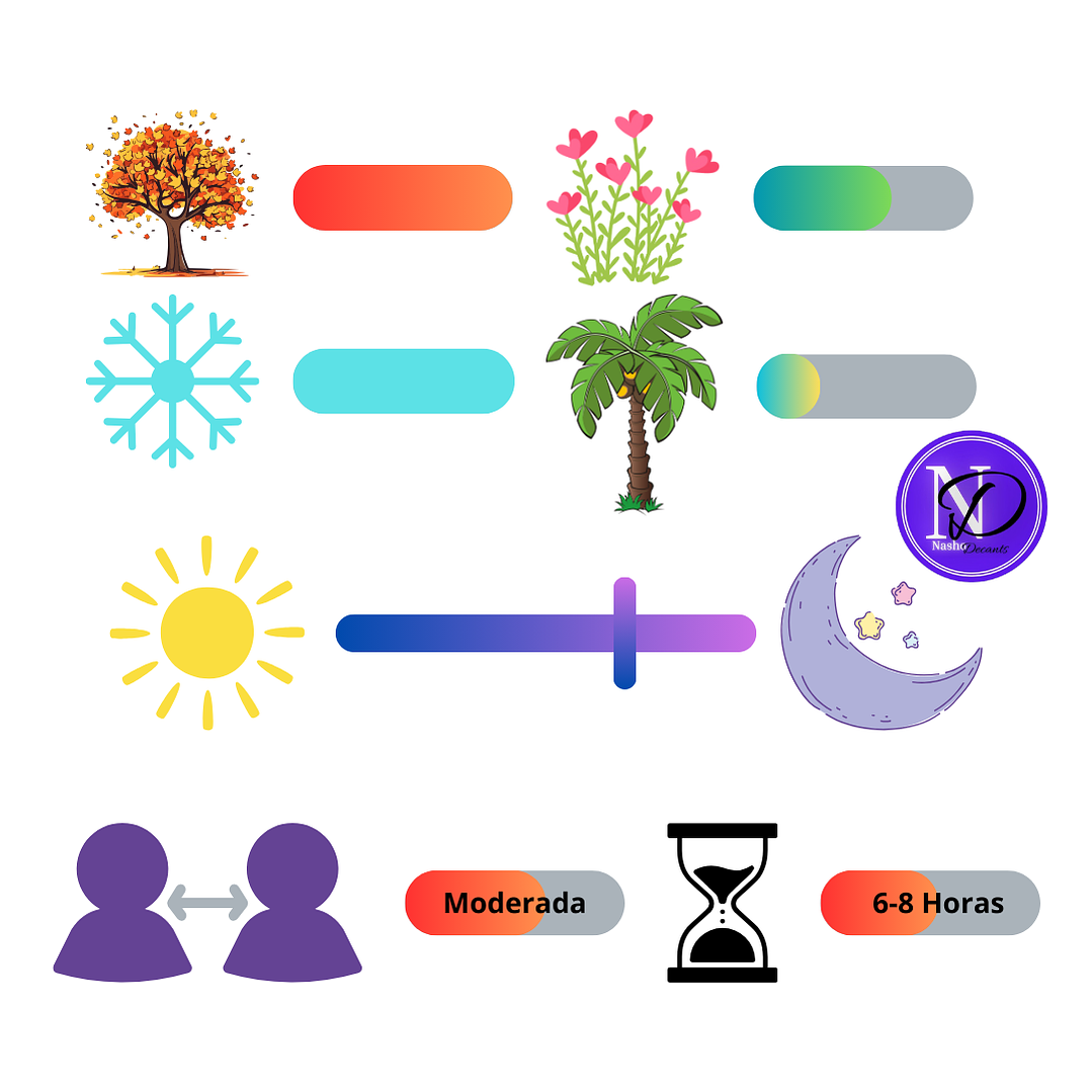 Khadlaj Island Vainilla Dunes (Althair PDM) - Decant 4