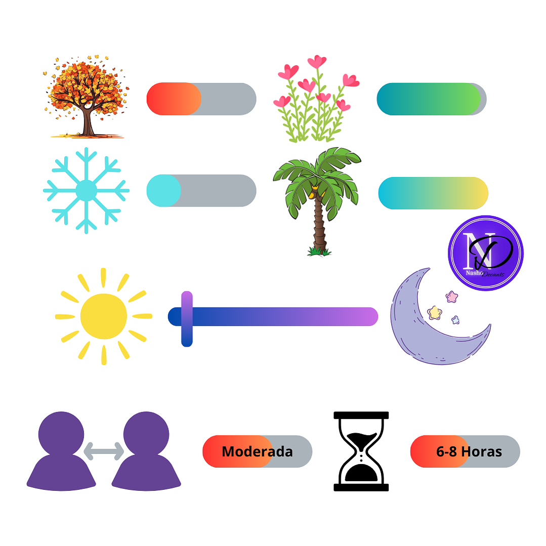 Xcentia Citrus 02 Pastor Fragances - Decant 4