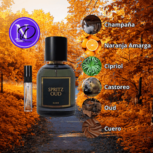 Spritz Oud Elixir Pastor Fragances - Decant