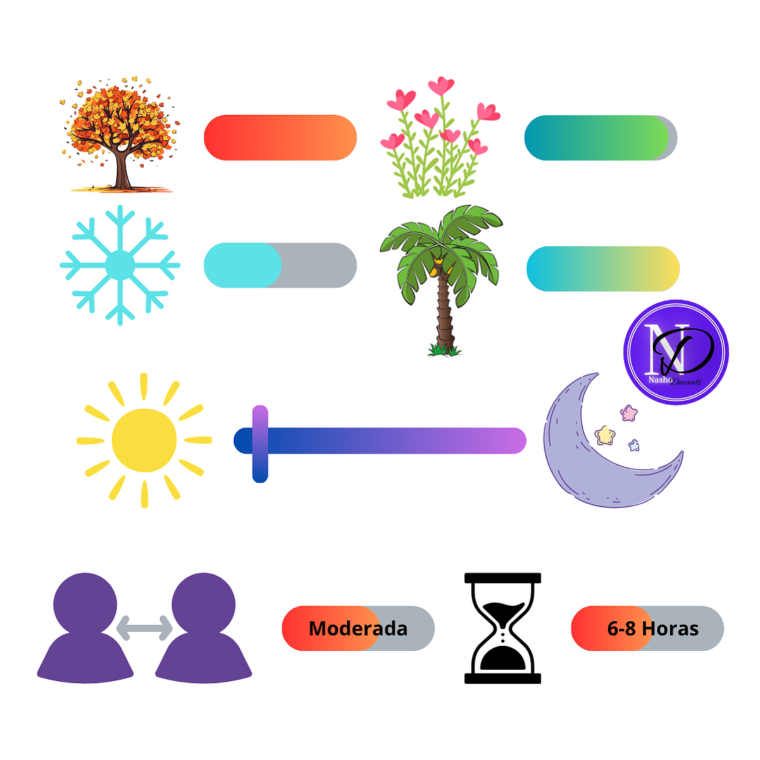 Prada L´Homme EDT - Decants 4