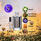 Prada L´Homme EDT - Decants - Miniatura 2