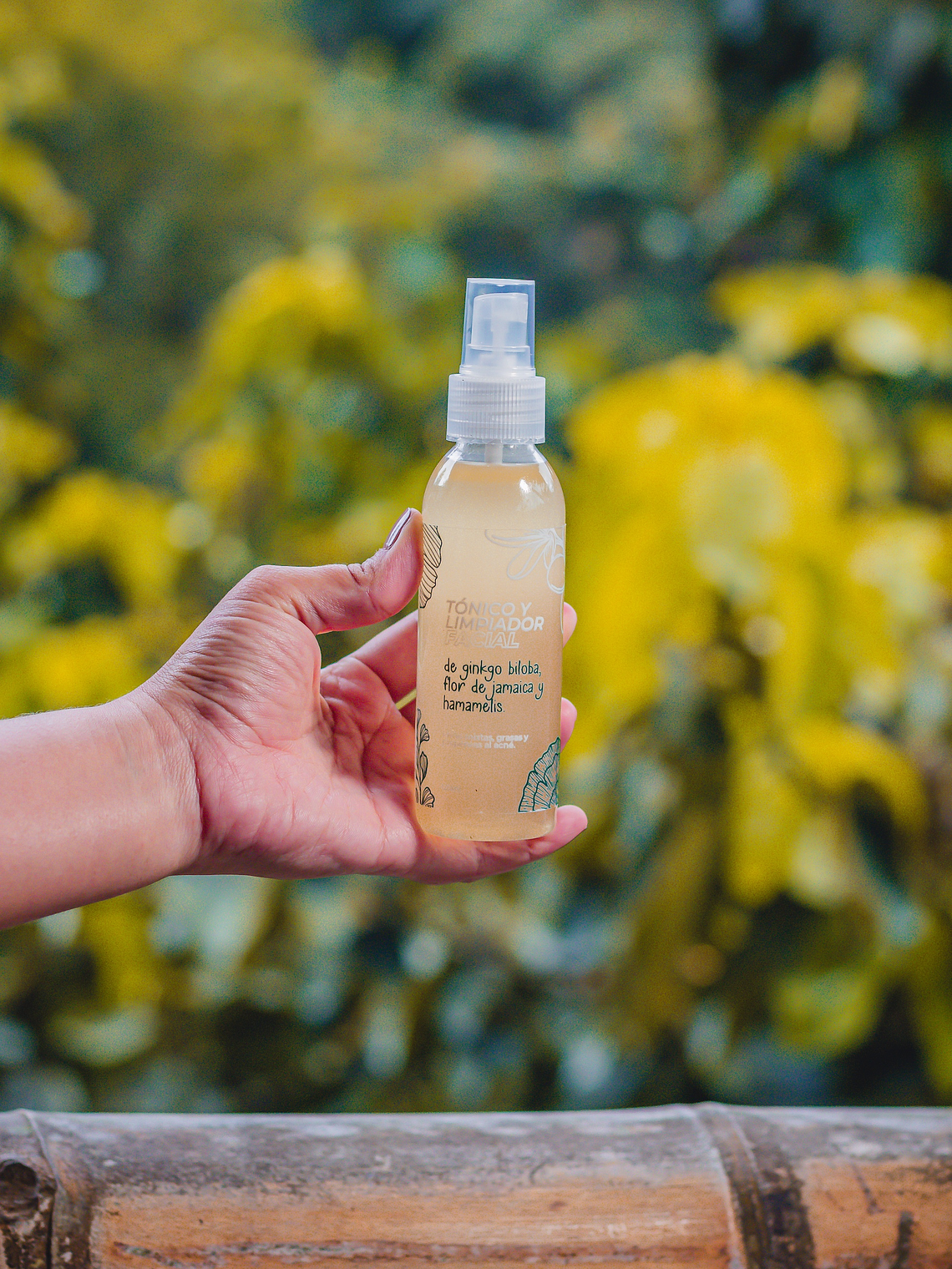 TÓNICO DE GINKGO BILOBA 1