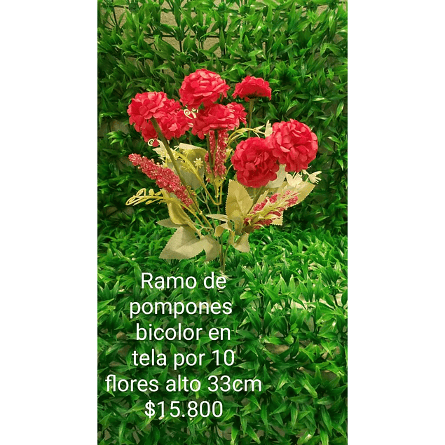 Ramo de pompones bicolor 