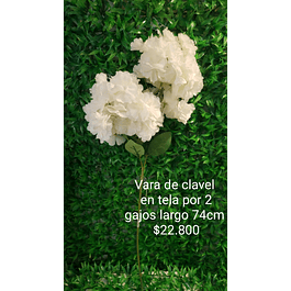 Vara de clavel en blanco