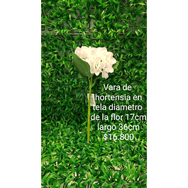Vara de hortensia blanca