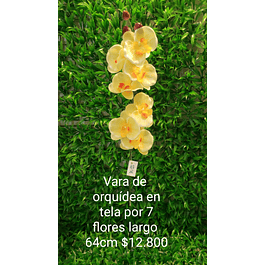 Vara de orquídea amarilla
