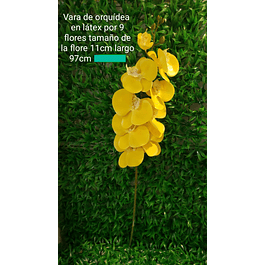 Vara de orquídea en látex amarilla
