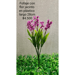 Follaje flor de jacinto morada