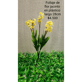 Follaje flor de jacinto amarillo