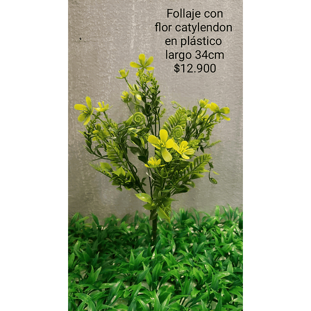 Follaje con flor catylendon amarilla