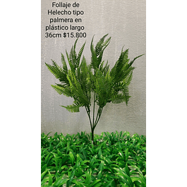 Follaje helecho tipo palmera verde medio