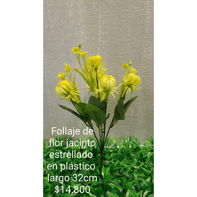 Follaje flor de jacinto amarillo