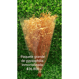 Gypsophila paquete grande naranja con blanco