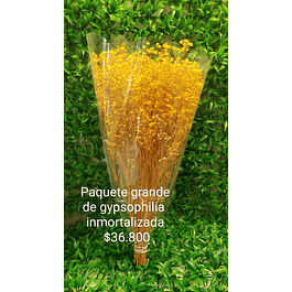 Gypsophila paquete grande amarilo