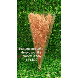 Gypsophila paquete pequeño rosado