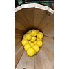 Limón amarillo 