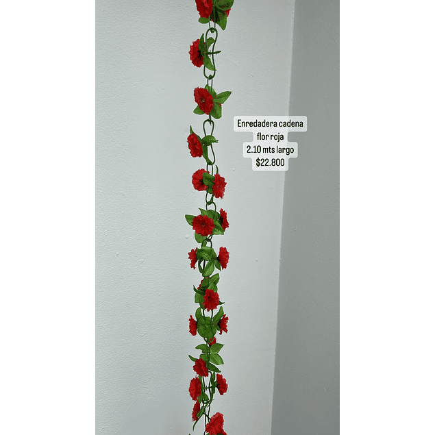 Enredadera flor roja 