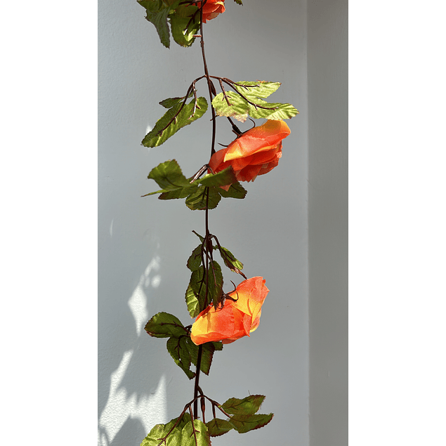 Enredadera flor naranja 