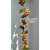 Enredadera flor naranja 