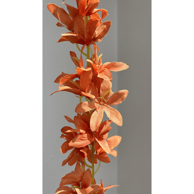 Enredadera flor naranja