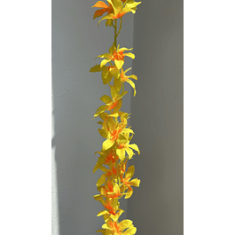 Enredadera flor amarilla