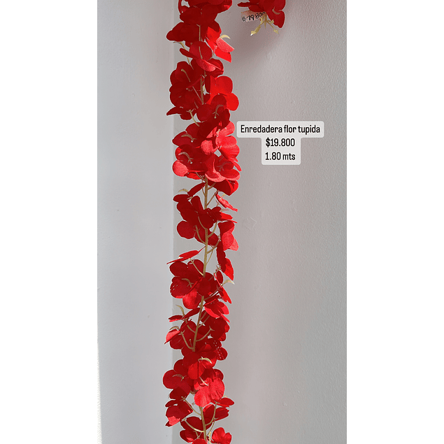 Enredadera flor roja 