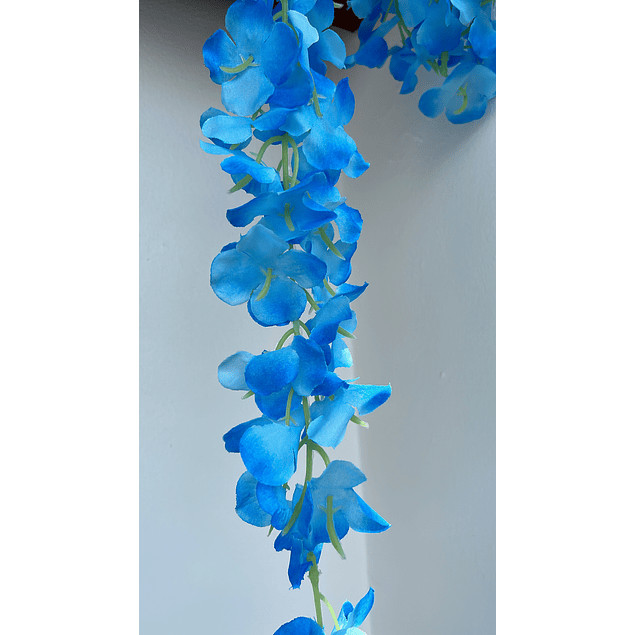 Enredadera flor azul 